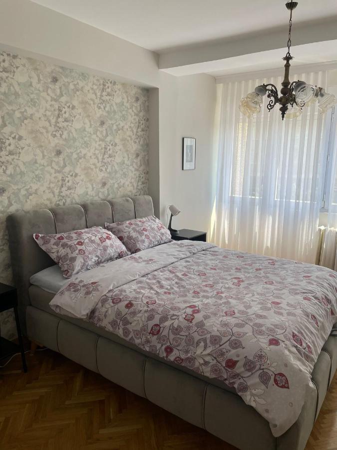 Apartman Filip Lux City Center ノヴィ・パザル エクステリア 写真